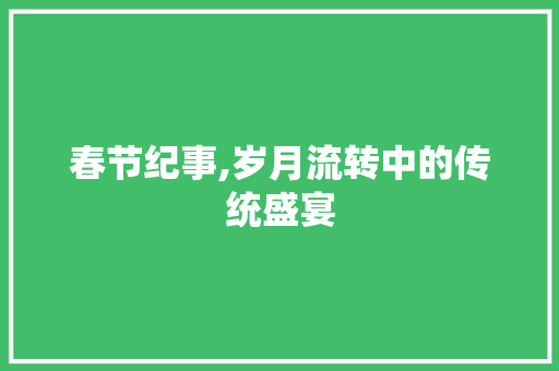 春节纪事,岁月流转中的传统盛宴