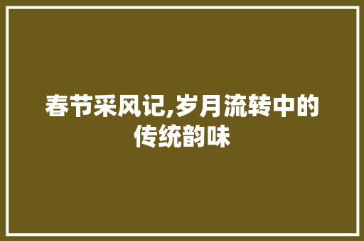 春节采风记,岁月流转中的传统韵味