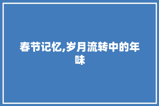 春节记忆,岁月流转中的年味