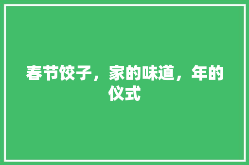 春节饺子，家的味道，年的仪式