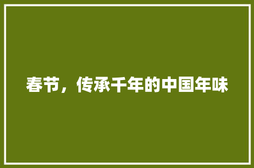 春节，传承千年的中国年味