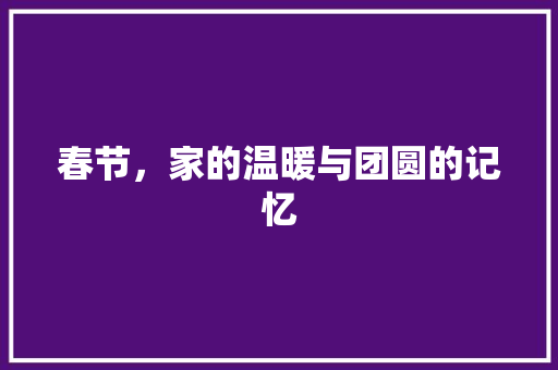 春节，家的温暖与团圆的记忆