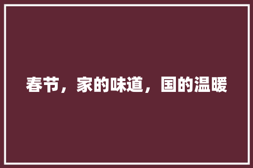 春节，家的味道，国的温暖