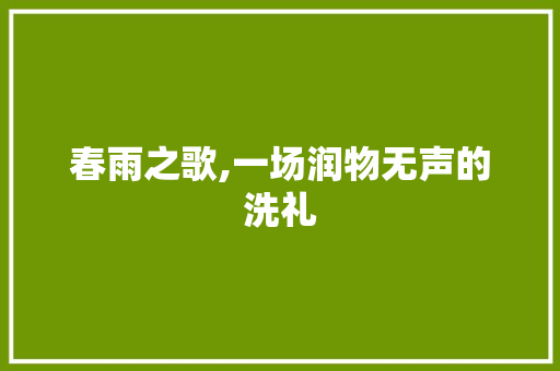 春雨之歌,一场润物无声的洗礼