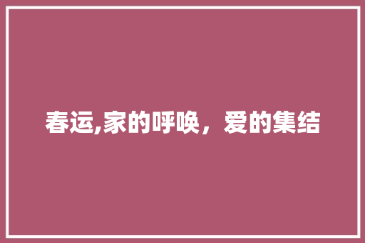 春运,家的呼唤，爱的集结