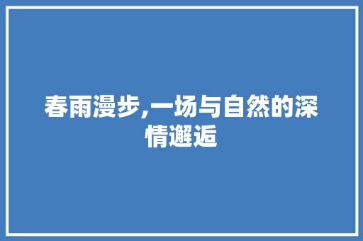 春雨漫步,一场与自然的深情邂逅