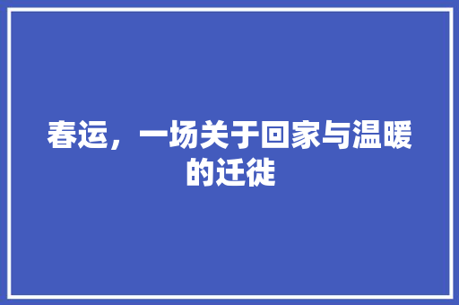 春运，一场关于回家与温暖的迁徙