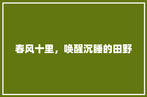 春风十里，唤醒沉睡的田野