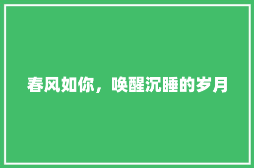 春风如你，唤醒沉睡的岁月