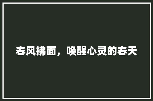 春风拂面，唤醒心灵的春天