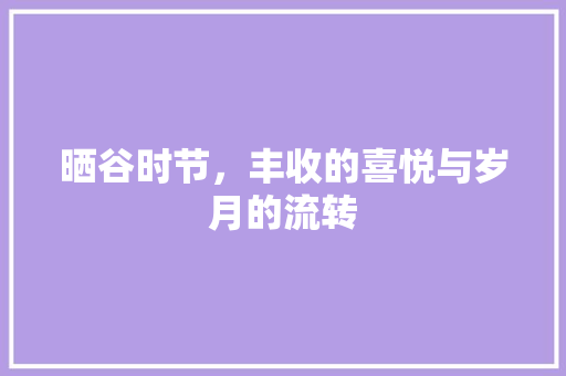 晒谷时节，丰收的喜悦与岁月的流转