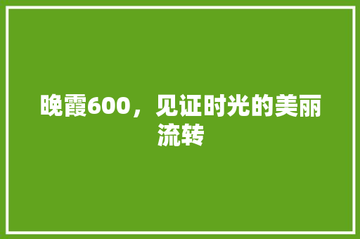 晚霞600，见证时光的美丽流转 综述范文