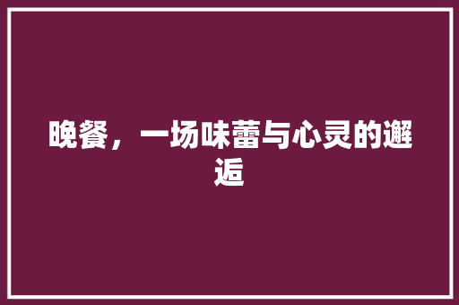 晚餐，一场味蕾与心灵的邂逅