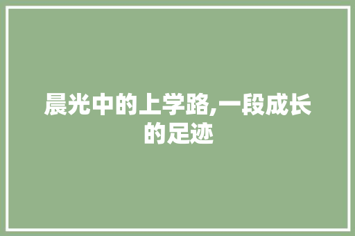 晨光中的上学路,一段成长的足迹