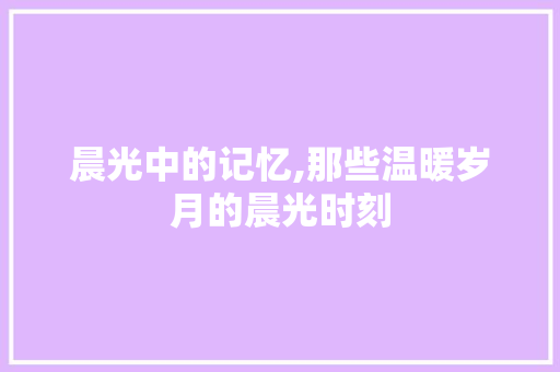 晨光中的记忆,那些温暖岁月的晨光时刻