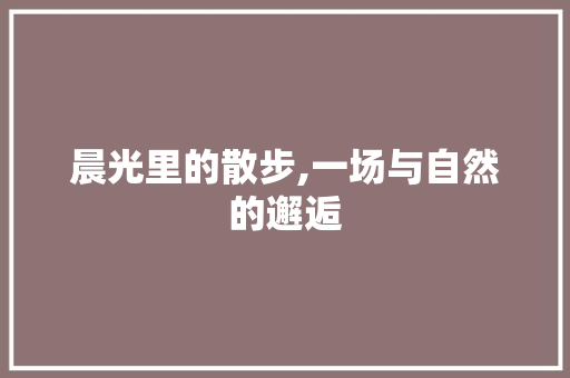 晨光里的散步,一场与自然的邂逅