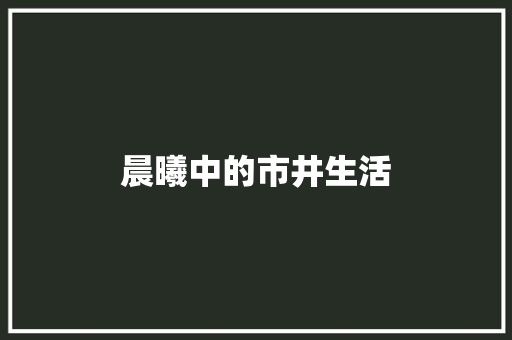 晨曦中的市井生活