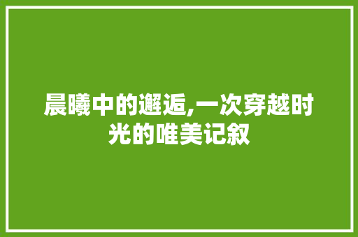 晨曦中的邂逅,一次穿越时光的唯美记叙