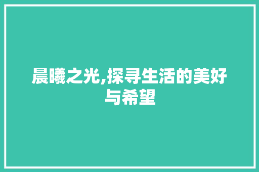 晨曦之光,探寻生活的美好与希望