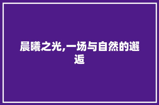 晨曦之光,一场与自然的邂逅