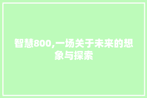 智慧800,一场关于未来的想象与探索