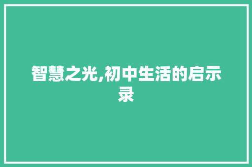 智慧之光,初中生活的启示录