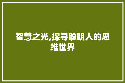 智慧之光,探寻聪明人的思维世界