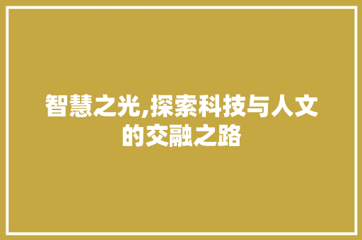 智慧之光,探索科技与人文的交融之路