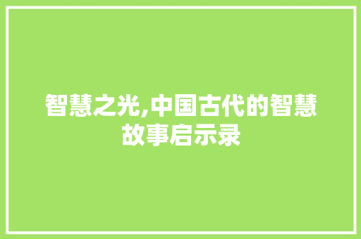 智慧之光,中国古代的智慧故事启示录