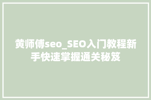 黄师傅seo_SEO入门教程新手快速掌握通关秘笈