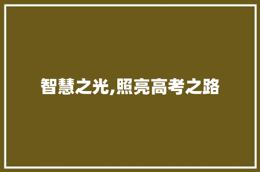 智慧之光,照亮高考之路