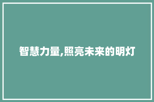 智慧力量,照亮未来的明灯