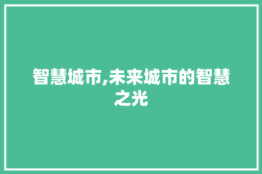 智慧城市,未来城市的智慧之光