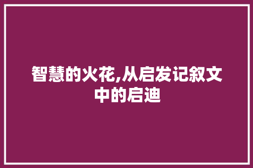 智慧的火花,从启发记叙文中的启迪