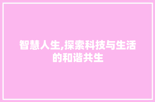 智慧人生,探索科技与生活的和谐共生