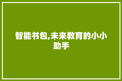 智能书包,未来教育的小小助手