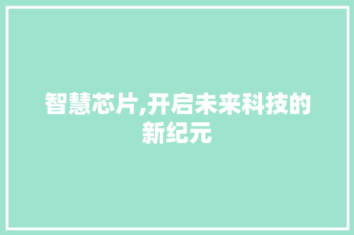 智慧芯片,开启未来科技的新纪元