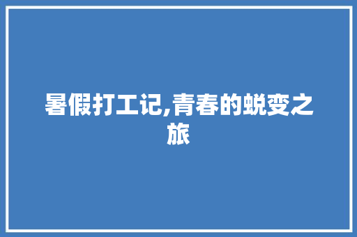 暑假打工记,青春的蜕变之旅