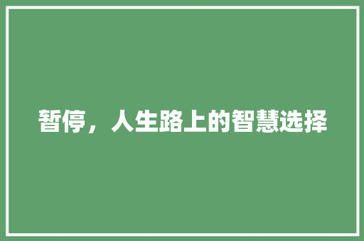 暂停，人生路上的智慧选择