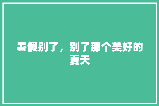 暑假别了，别了那个美好的夏天