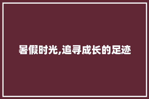 暑假时光,追寻成长的足迹