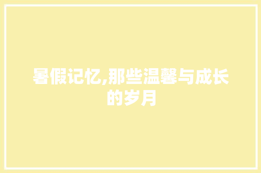 暑假记忆,那些温馨与成长的岁月