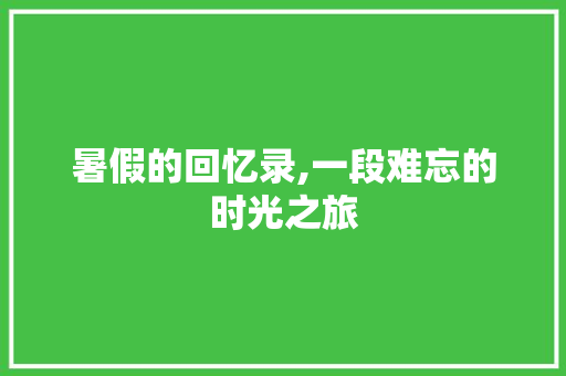 暑假的回忆录,一段难忘的时光之旅