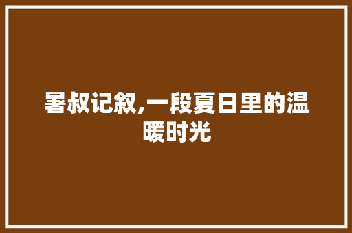 暑叔记叙,一段夏日里的温暖时光