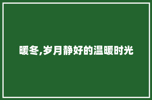 暖冬,岁月静好的温暖时光