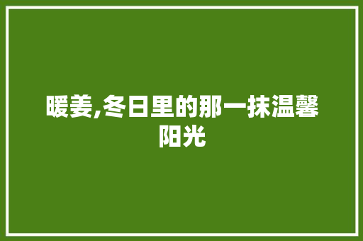 暖姜,冬日里的那一抹温馨阳光