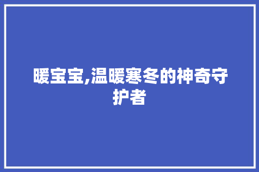 暖宝宝,温暖寒冬的神奇守护者