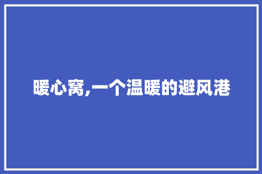 暖心窝,一个温暖的避风港