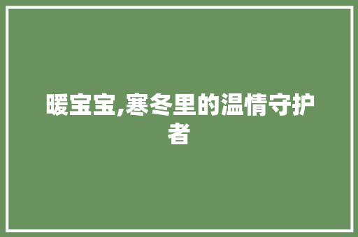 暖宝宝,寒冬里的温情守护者