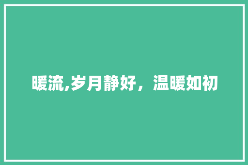 暖流,岁月静好，温暖如初